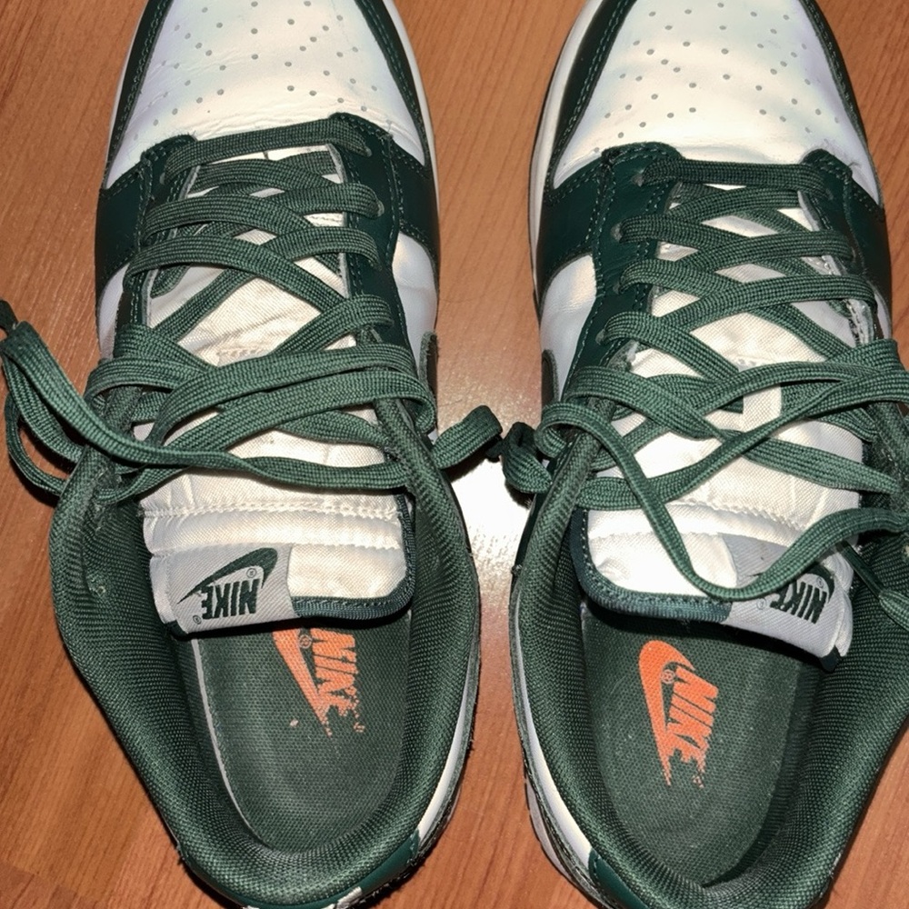 Nike Dunk Michigan state